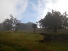 2022_04_12-10-29-12-Michael-img-345_k.JPG
